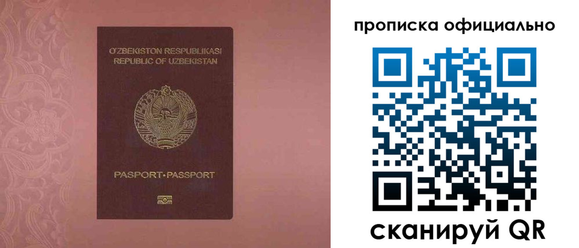 прописка гарантия в Ростове